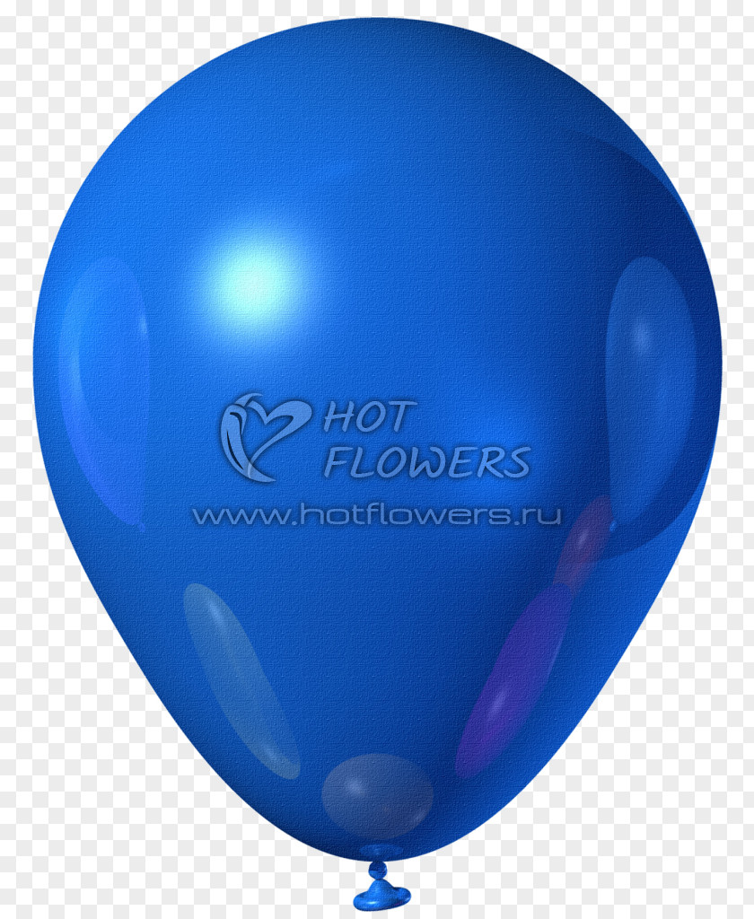 Globos Toy Balloon Blue Flower Bouquet PNG