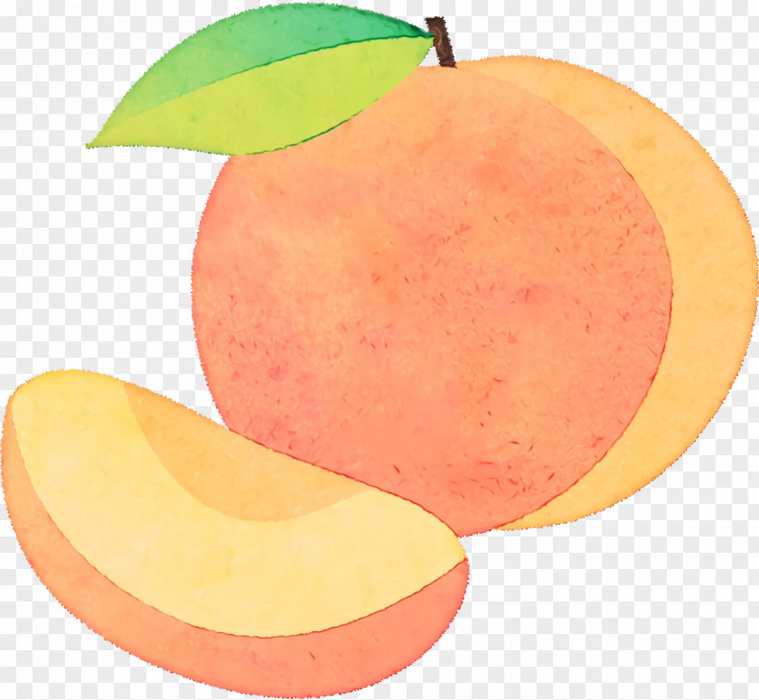 Grapefruit Apple PNG