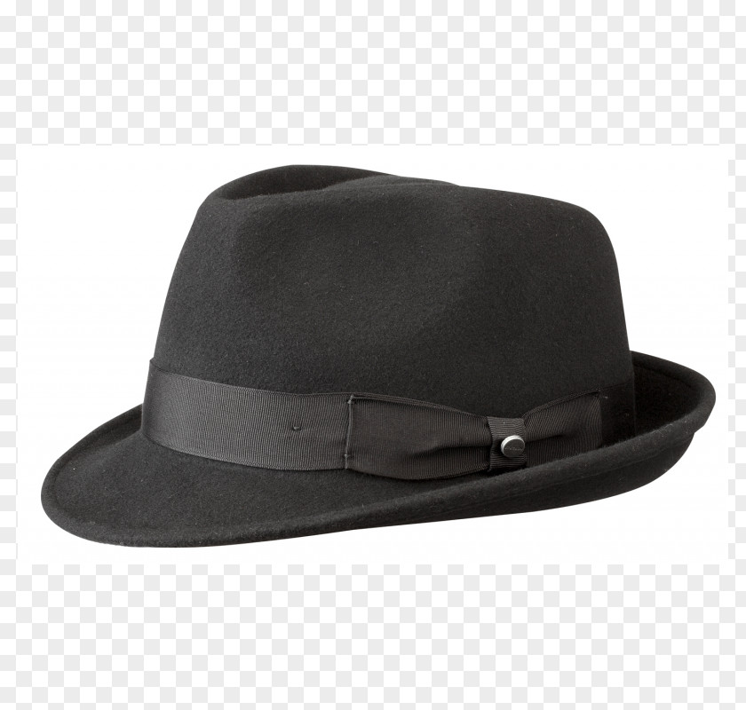 Hat Fedora Trilby Panama Pork Pie PNG