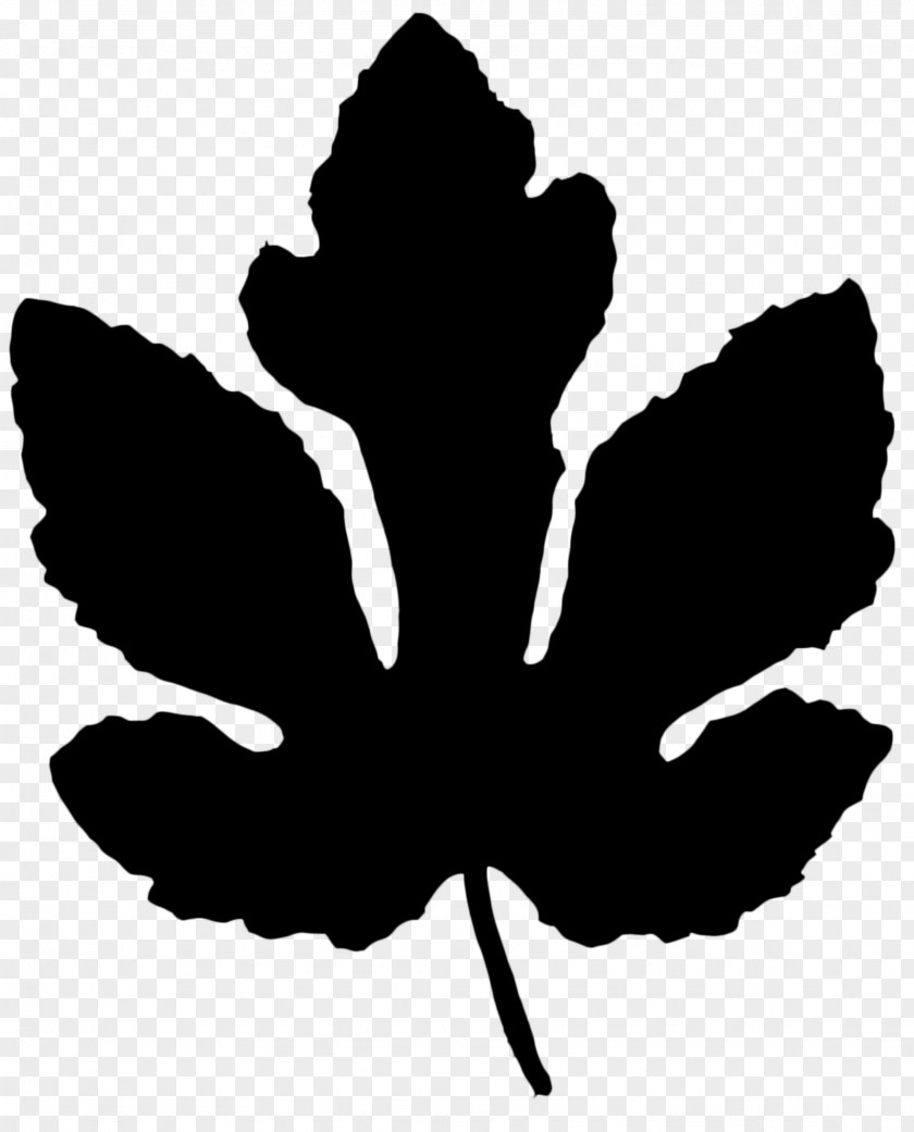 M Clip Art Flower Silhouette Tree Black & White PNG