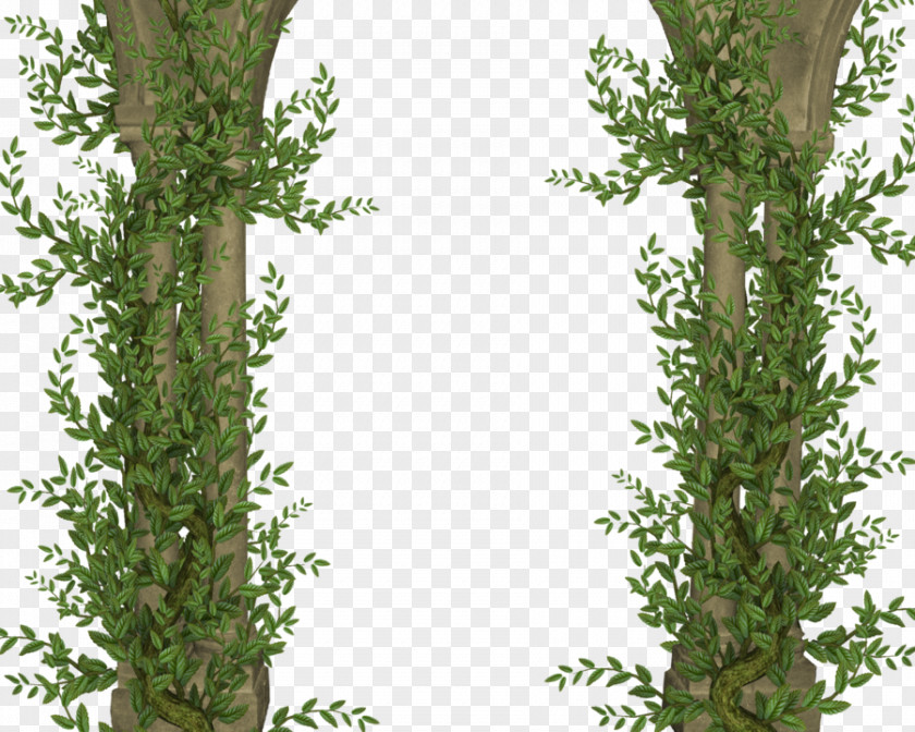 PILLAR Tree Column DeviantArt PNG