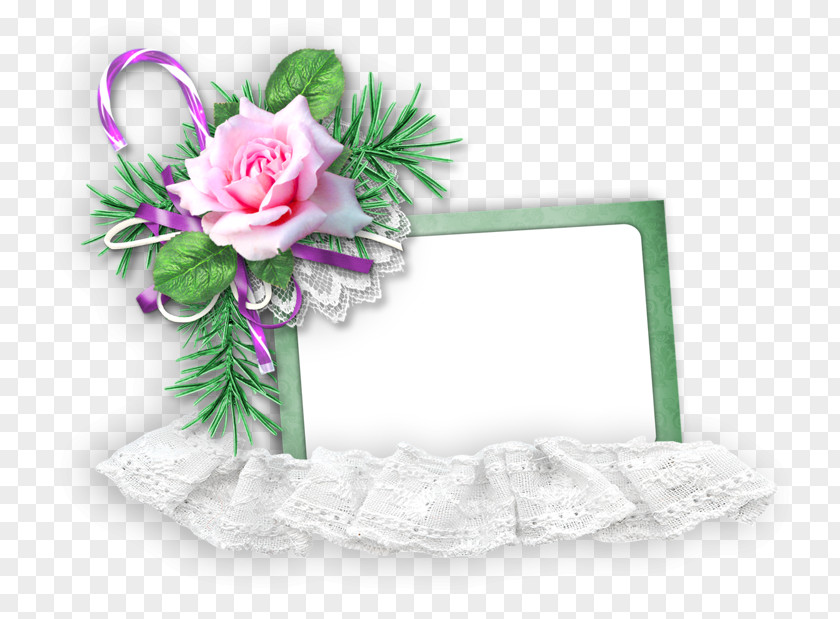 Pink Flower Plant Cut Flowers Bouquet PNG