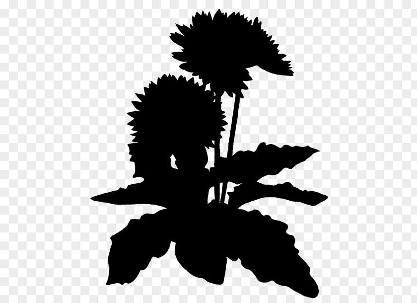 Flowering Plant Clip Art Character Silhouette PNG