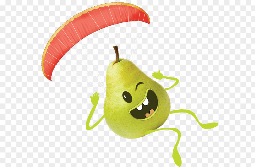 Insect Fruit PNG