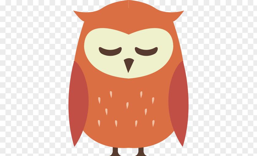 Owl Illustration Bird Clip Art PNG