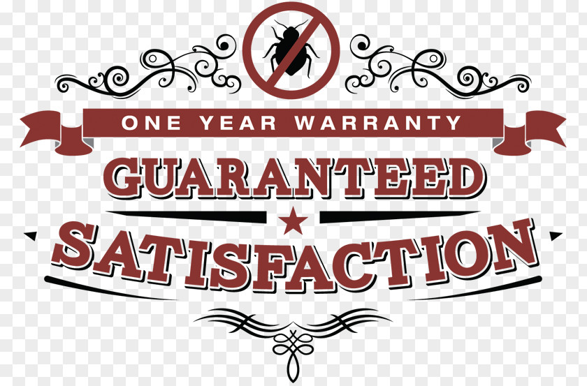 1 Year Warranty Logo The Curl Ambassadors Curly Hair Salon Hairstyle Beauty Parlour Pickering NaturallyCurly.com PNG