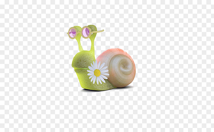 Beautiful Snail Gastropod Shell PNG