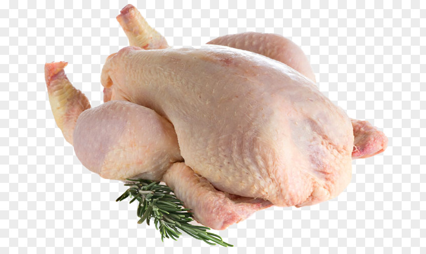 Chicken As Food Buffalo Wing Fingers Leg PNG as food wing fingers Leg, chicken clipart PNG