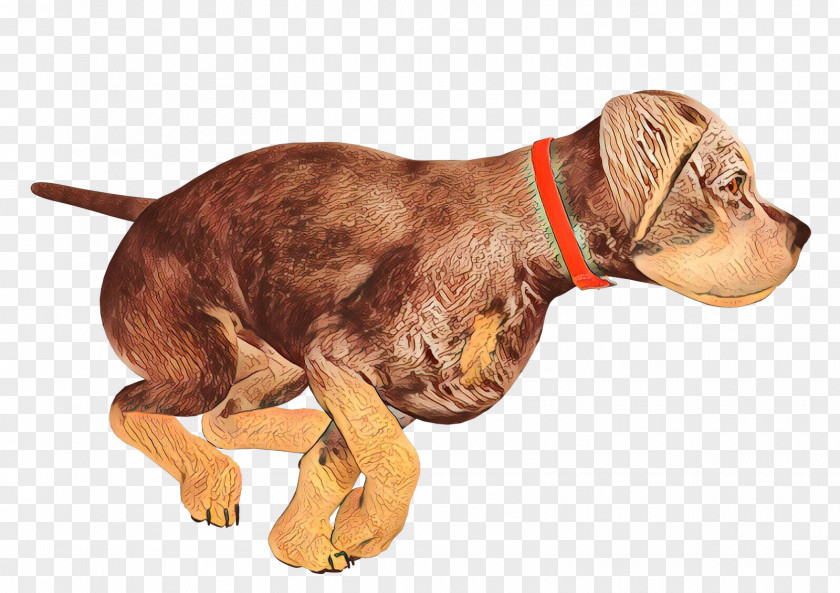 Dog Breed Puppy Companion Snout PNG