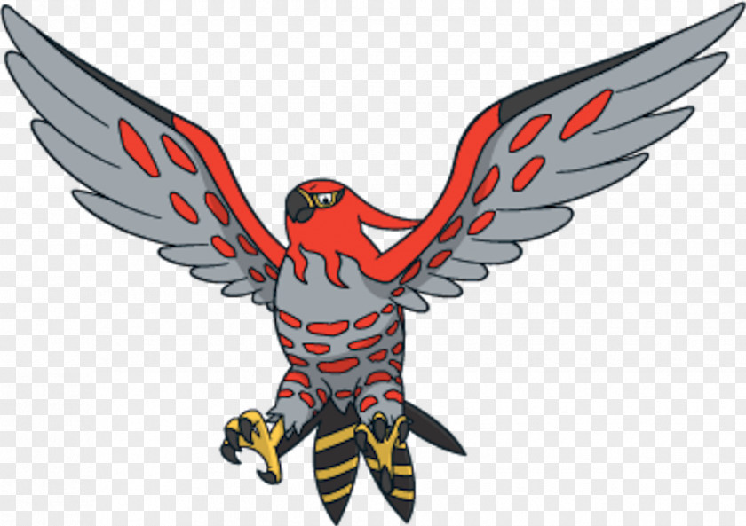 Fletchling Pokemon Talonflame Fletchinder Flying Fire Charizard PNG