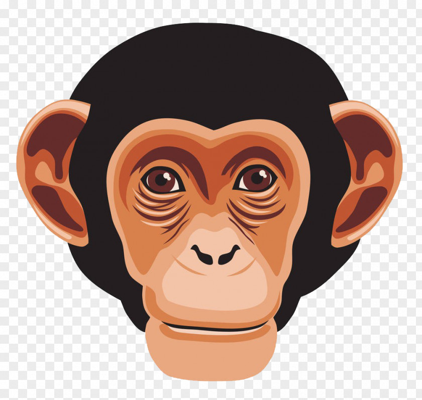 Gorilla Chimpanzee Ape Primate Monkey PNG