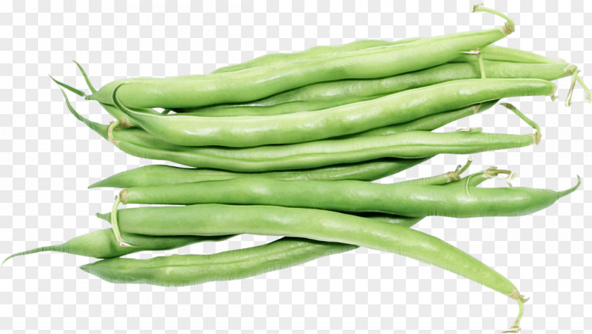 Green Beans Snap Pea Vegetable Broad Bean Lima PNG