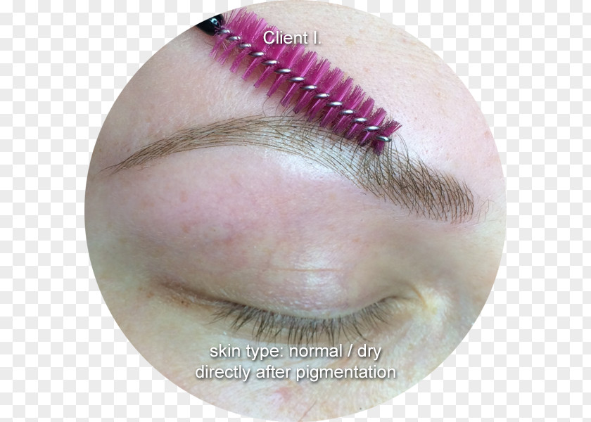 Microblading Professionals Eyelash Extensions EyebrowMicroblading Face Couture PNG
