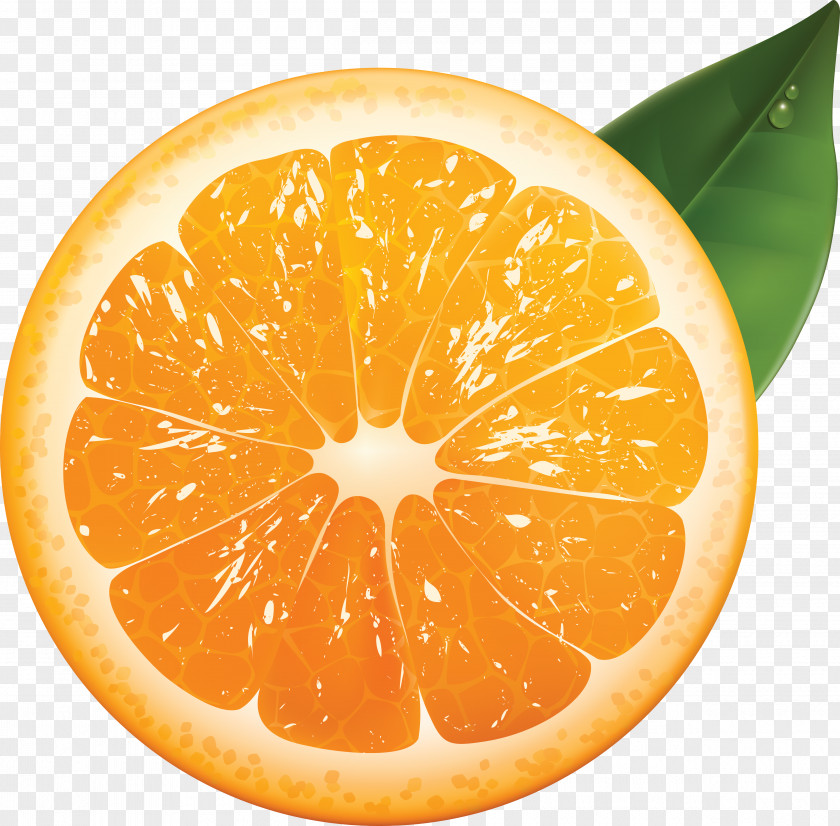 Paint Orange Juice Tangerine Mandarin PNG