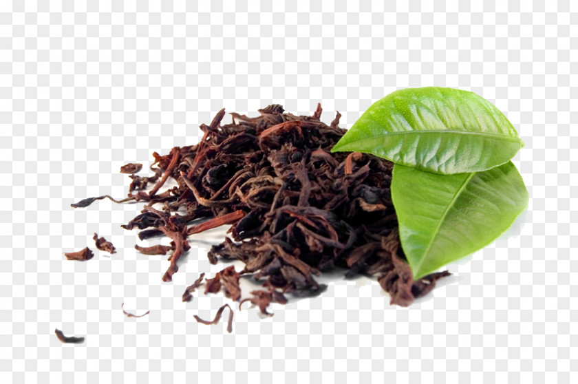 Tea Green Darjeeling Black Assam PNG