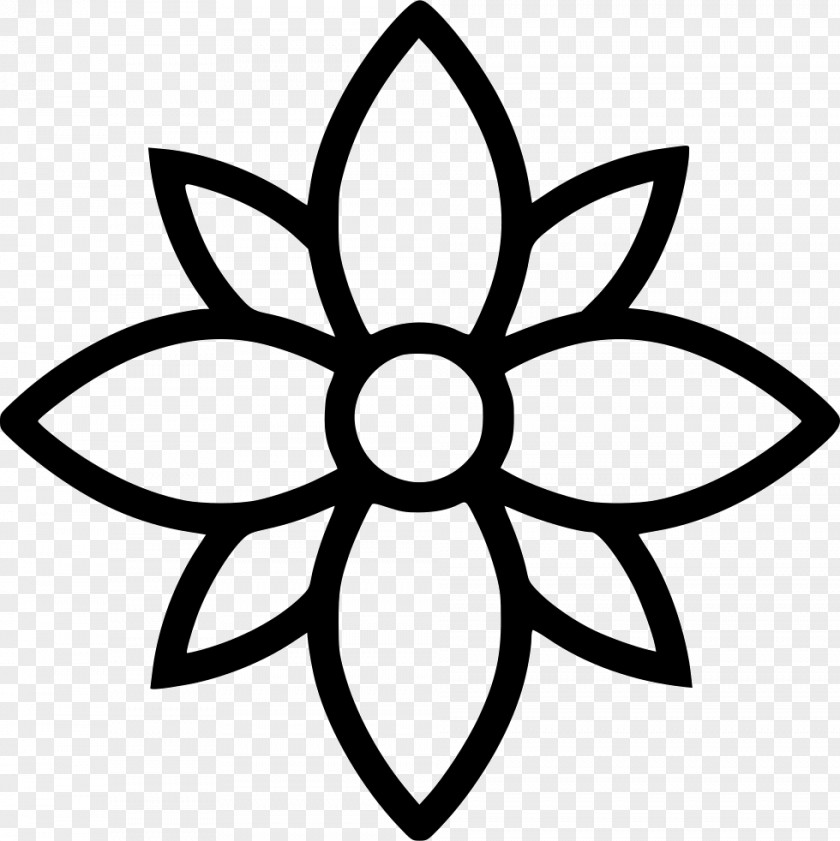 Flower Drawing Line Clip Art PNG