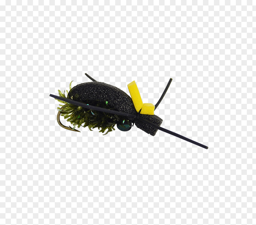 Fly Fishing Dry Flies Beetle Butterfly Insect Wing PNG
