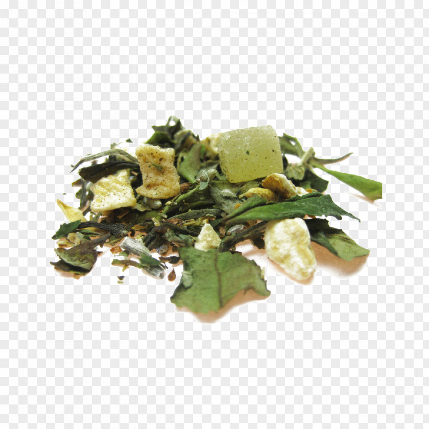 Hospitality Tea Leaf Vegetable Vegetarian Cuisine Recipe Salad Food PNG