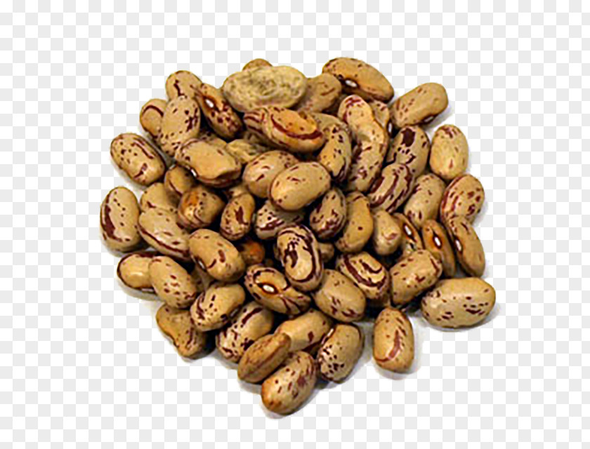 Lentils Puy Mixed Nuts Vegetarian Cuisine Food Common Bean PNG