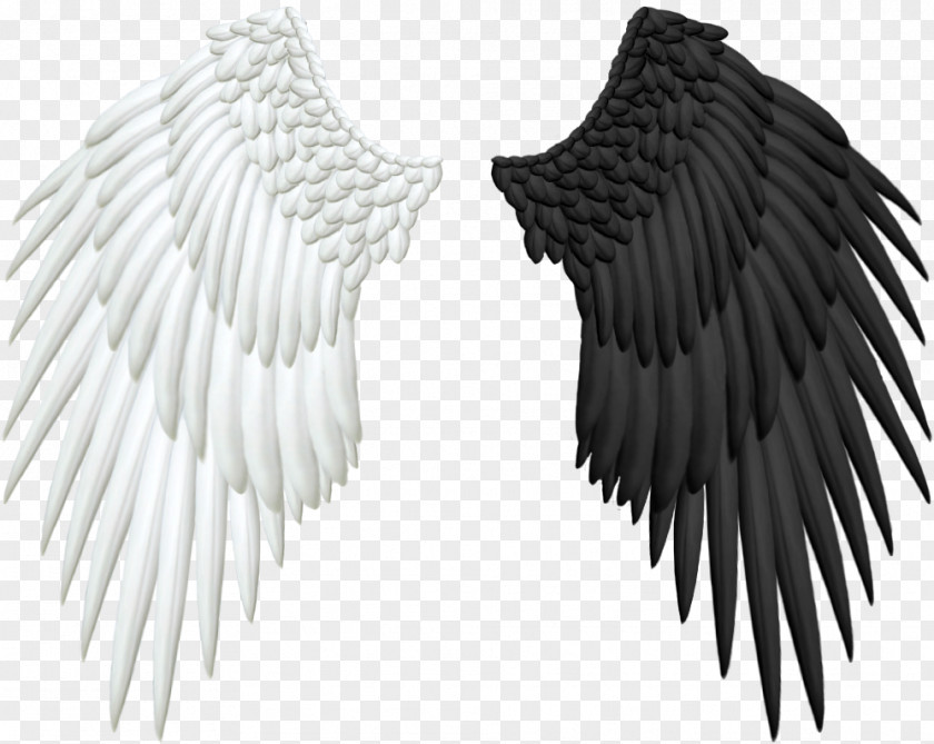 Wings Angel Wing Clip Art PNG