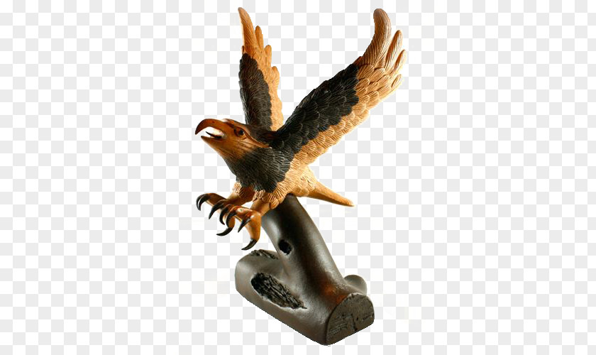 Eagle Model Hawk Google Images Download PNG