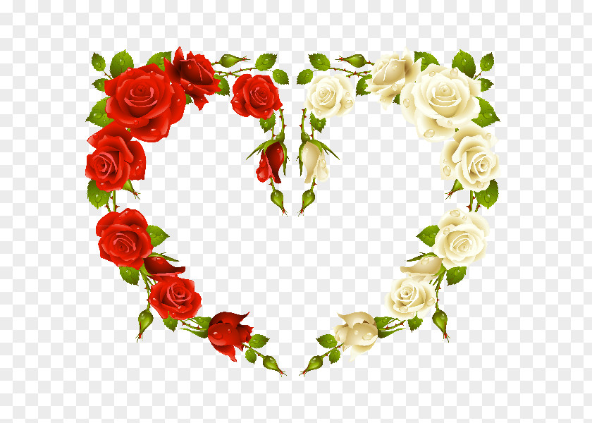 HEART FLOWER Rose Heart Picture Frames Stock Photography PNG