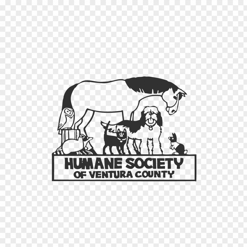 Humane Society Font Butte County, California Los Angeles Vinyl Comes Alive Cattle Society-Ventura County PNG