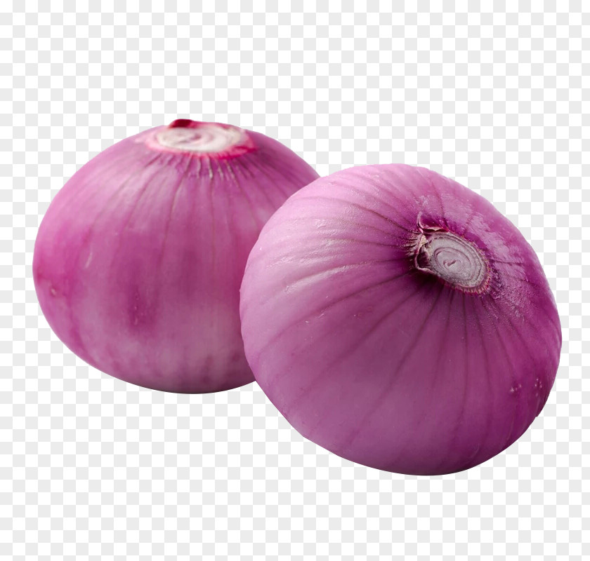 Onion Red Shallot Beefsteak Vegetable PNG