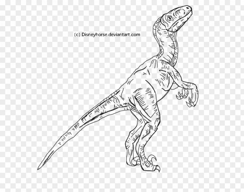 Parking Line Velociraptor Jurassic World Evolution Tyrannosaurus Park Art PNG