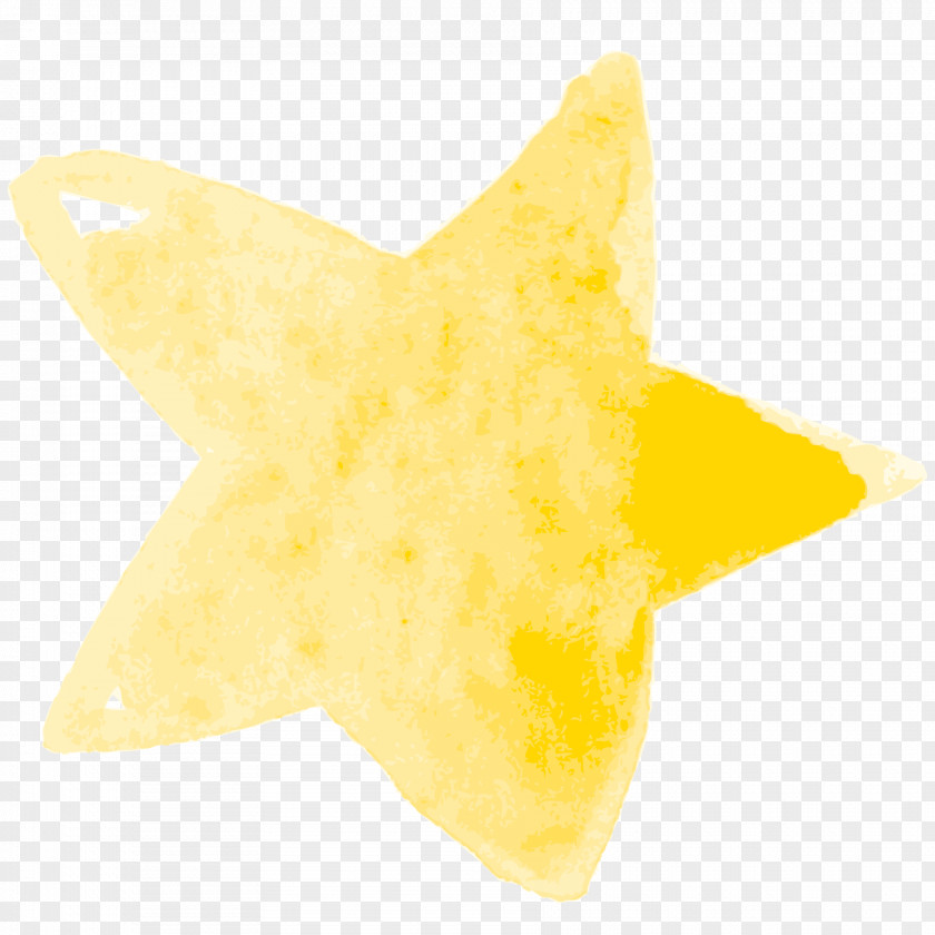Yellow Star Carambola PNG