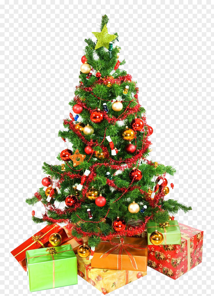 Christmas Tree High-definition Television Desktop Wallpaper PNG