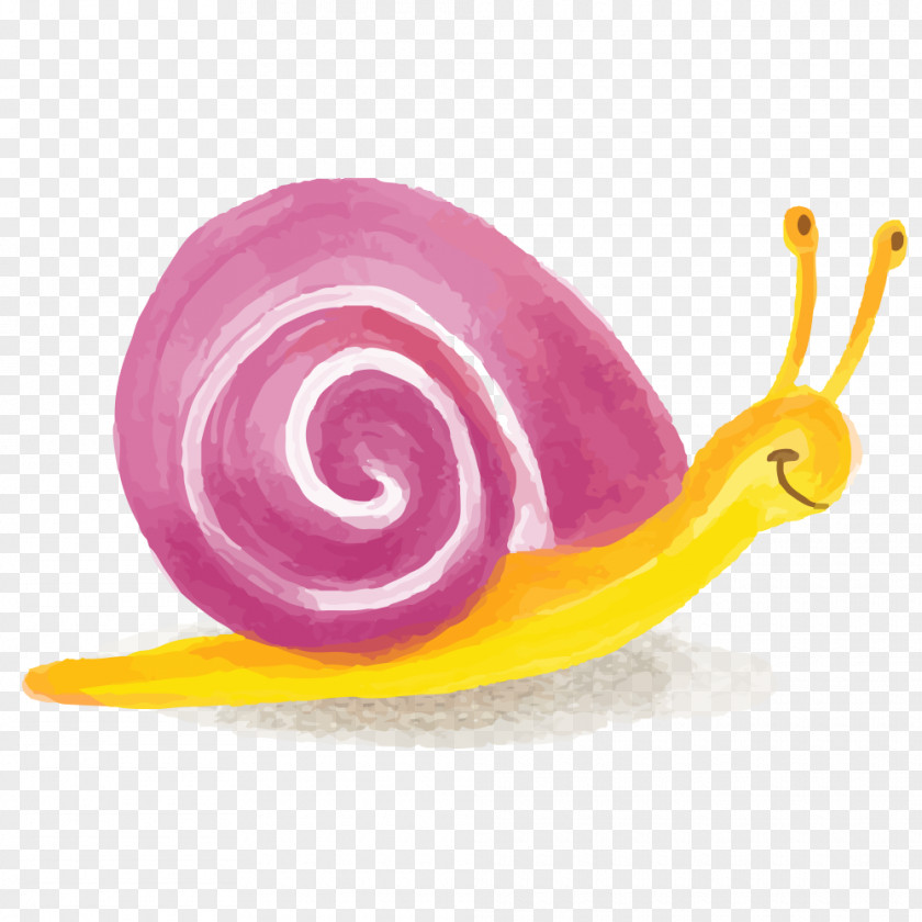 Copse Salyangoz Snail Cartoon Vector Graphics Drawing Illustration PNG