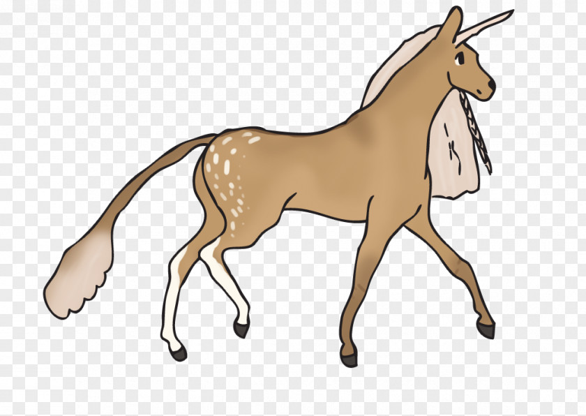 Donkey Mule Foal Stallion Mare Colt PNG