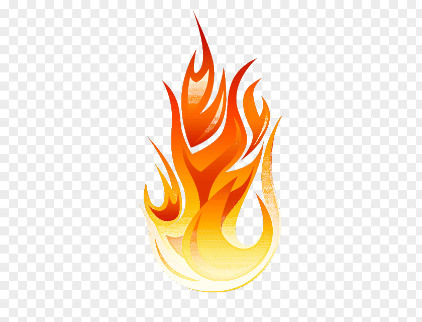 Flame Fire Logo PNG