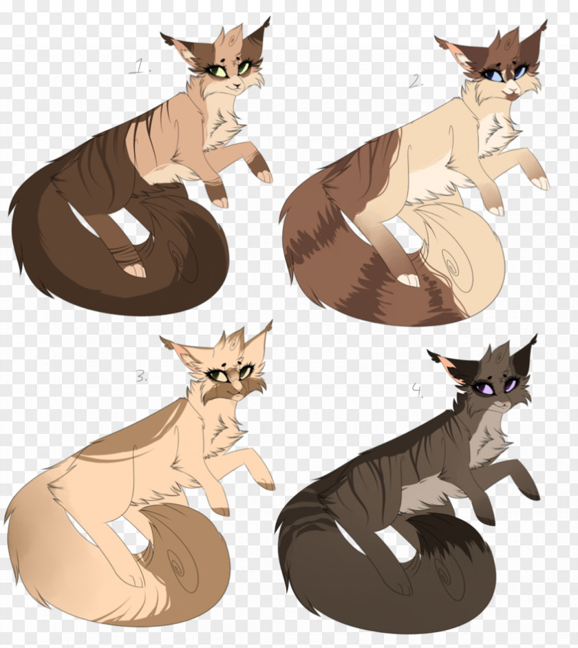 Kitten Whiskers Cat Art PNG