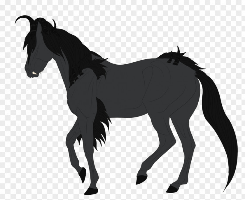 Mustang Foal Mare Mane Stallion PNG