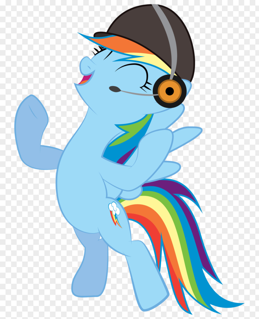 Rainbow Dash Applejack Pinkie Pie Fluttershy Twilight Sparkle PNG