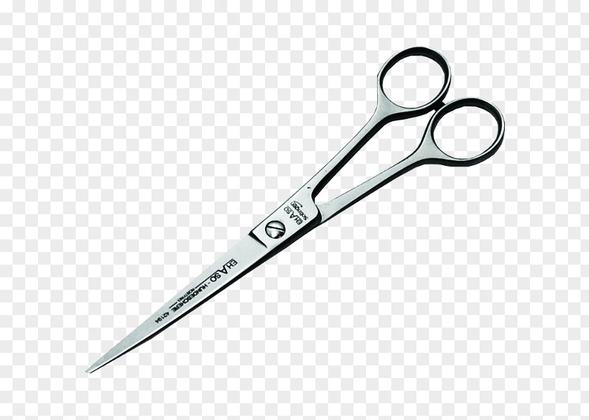 Scissors Ehaso Hair-cutting Shears Dog Personal Grooming PNG