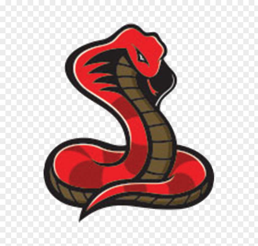 Snake Clip Art PNG