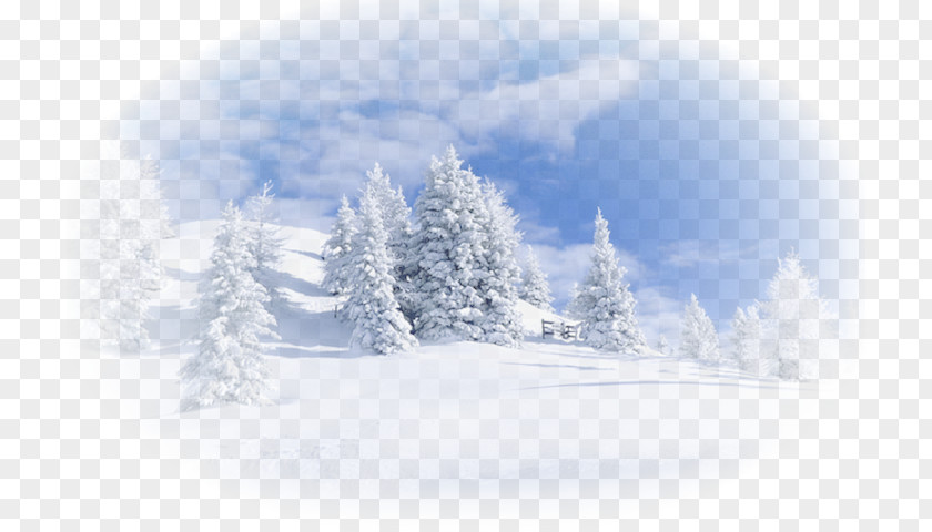Snow Landscape Winter Cold Borovets PNG