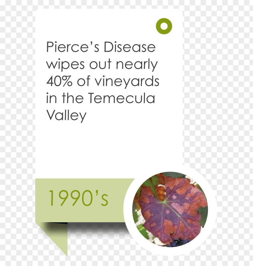 Wedding Timeline Temecula Valley Winegrowers Association Wine Tasting Information PNG