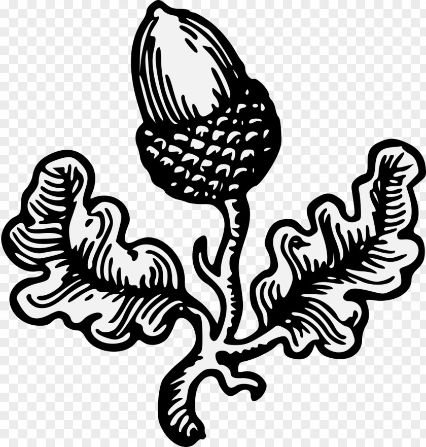 Coloring Book Emblem Black-and-white Line Art Plant Vascular PNG