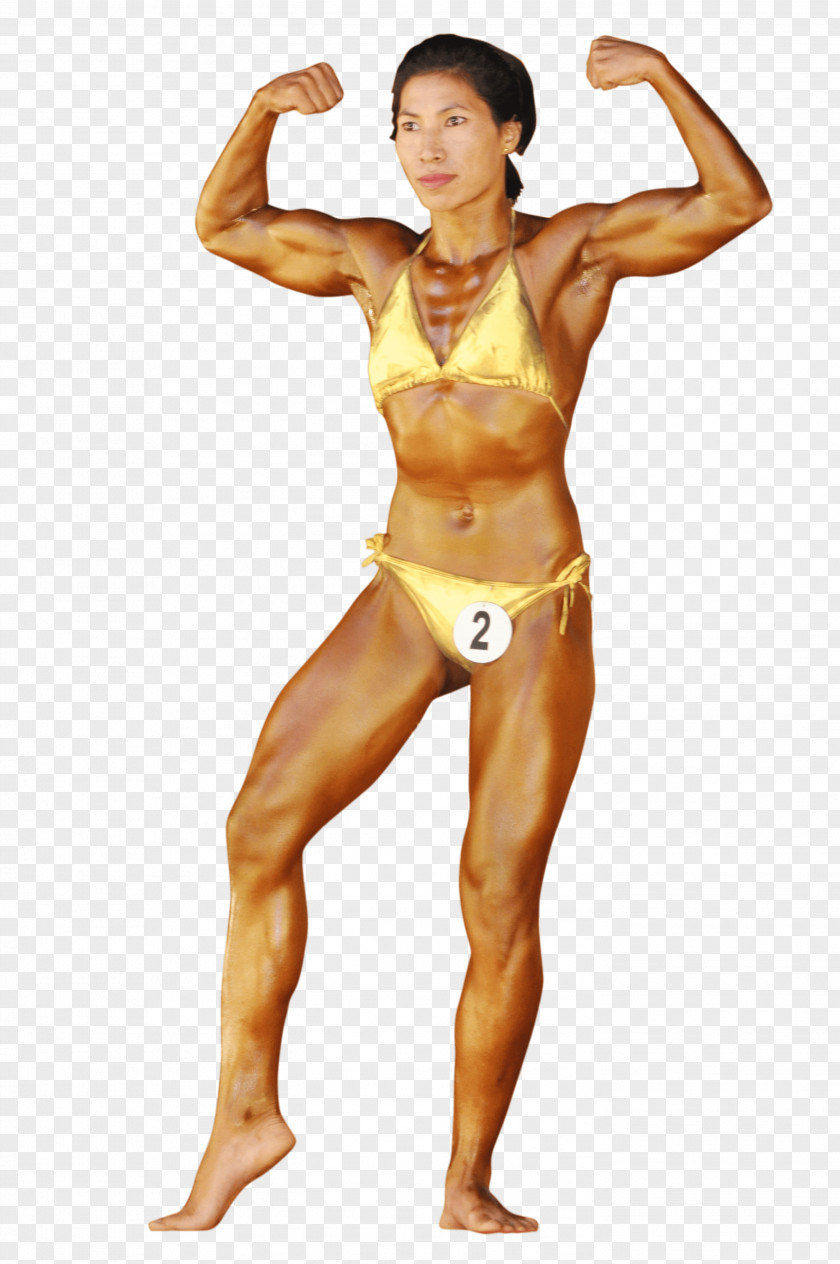 Female Bodybuilding Physical Fitness Woman And Figure Competition PNG