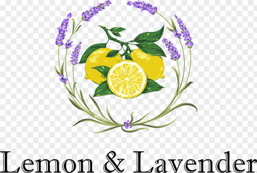 Lemon & Lavender Drawing Lemonade PNG