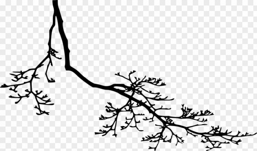 Silhouette Twig Branch Black And White Clip Art PNG