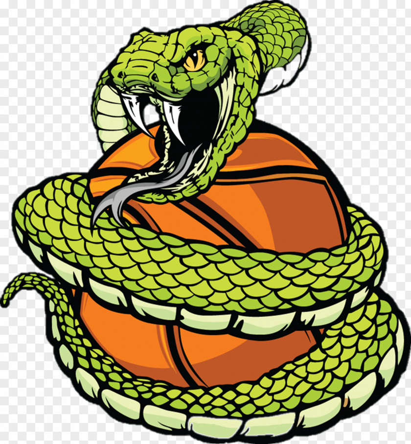 Anaconda Vipers Snake Baseball Clip Art PNG