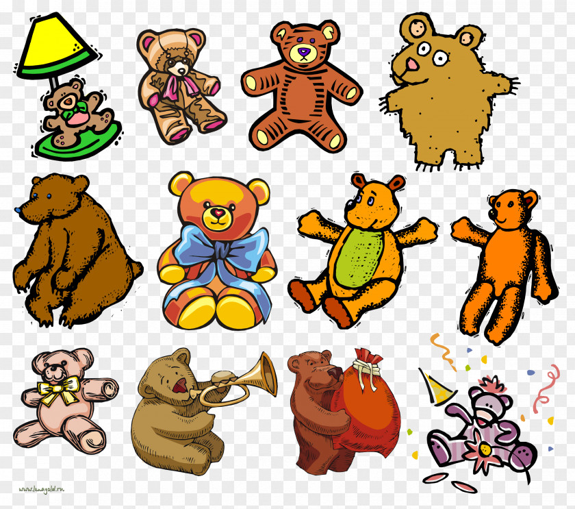 Bear Carnivora Human Behavior Clip Art PNG