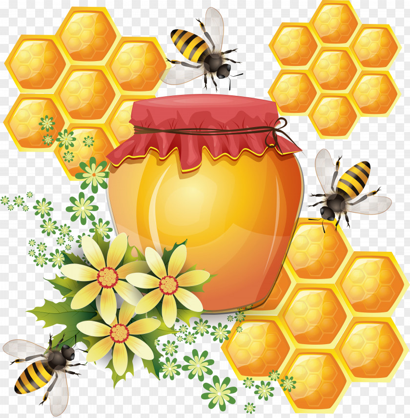 Bee Western Honey Honeycomb Beehive Vector Graphics PNG