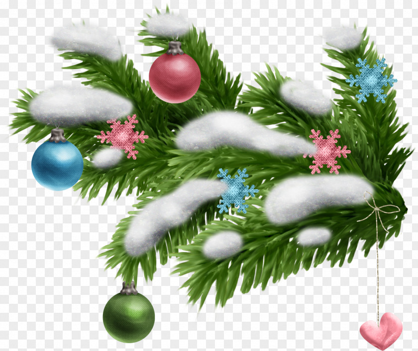 Fir-tree Spruce New Year Tree Branch Leaf PNG