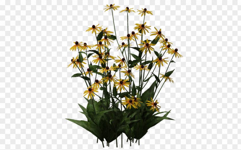Flower Cut Flowers Floral Design Plant Stem PNG